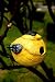 Finch Portly - Birdhouse
