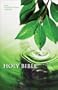 NIV Holy Bible, Textbook Edition