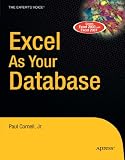 Excel as Your Database