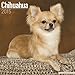 Chihuahua Calendar - Breed Specific Chihuahua Calendar - 2015 Wall calendars - Dog Calendars - Monthly Wall Calendar by Avonside