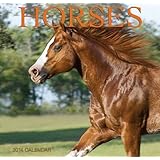 horses 2014 mini calendar