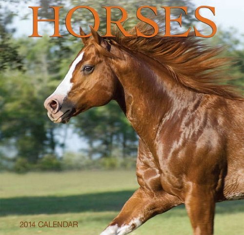 Horses 2014 Mini Calendar