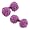 Orchid Purple