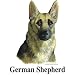 German Shepherd Dog Cordial - Shot Glass