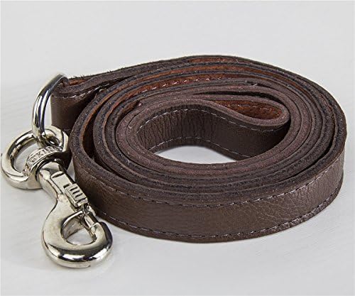 REEGE Genuine Leather Dog Leash Lead Heavy Duty for Medium Large Breeds 5 Feet