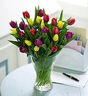 Best Flowers For Valentine's Day - British Flowers