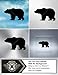 Decals Stickers Bear Wall Art Decor Doors Helmet Truck Motorcycle Note Book Mobile Laptop Glass Size: 5 X 3 Inches Black
