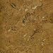 Natural Cork New Dimensions 17-1/2" Locking Engineered Floating Cork in Scirocco
