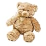 Summer Infant Mommies Melodies Gund Bear
