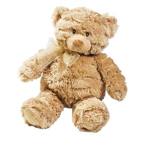Click here to buy Summer Infant Mommies Melodies Gund Bear by Summer Infant.