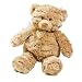 Summer Infant Mommies Melodies Gund Bear