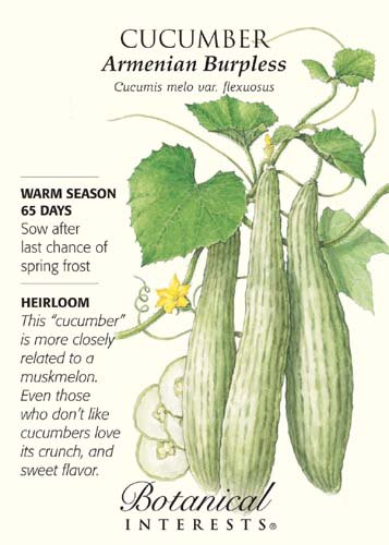 Armenian Burpless Cucumber Seeds - 2 grams - Botanical Interests Armenian Burpless Cucumber Seeds - 2 grams - Botanical Interests