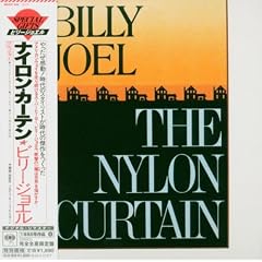 The Nylon Curtain