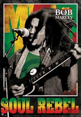 Empire 377739 Bob Marley - Soul Rebel Musik Reggae 3D Poster, Lenticular 47 x 67 cm Preisvergleich