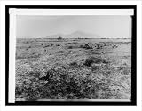 Historic Print (L): Salt River Project Arizona; desert before cultivation; Camel Back Mountain in background