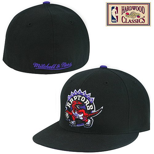 Mitchell & Ness Toronto Raptors Hardwood Classics Logo Fitted Hat
