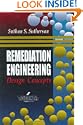 Remediation Engineering