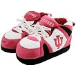 Indiana UNISEX High-Top Slippers