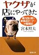 �䥯����Ź�ˤ�äƤ�����˽���Ĥ�Ʈ������Ź�����ʡ���ʳƮ�� (��Ĭʸ��)