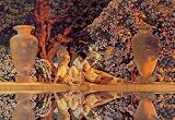 Garden of Allah 18X27 Giclee Paper