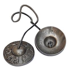 Manzira India Musical Instruments