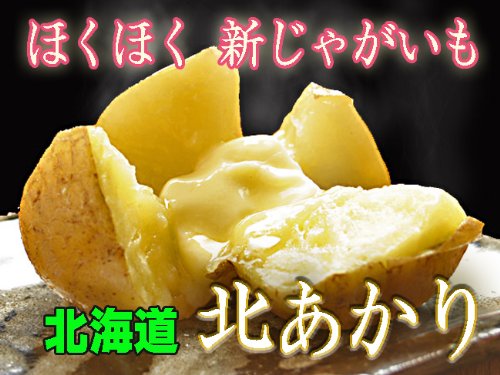 北海道　ジャガイモ　【北あかり】　Ｍサイズ１０ｋｇ じゃがいも