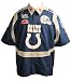 Indianapolis Colts 2009 Endzone Shirt