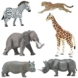 Wild Safari  African Savanna