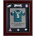 Donovan McNabb #5 Philadelphia Eagles NFL Limited Edition Rookie Year Original Mini Jersey Framed 13x16
