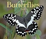 Butterflies 2013