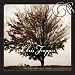 August Rush-Til The Last Leaf Falls