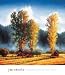Autumn Morning II by JM Steele. Size 20.00 inches width by 19.32 inches height. High Quality Art Poster Print