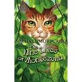 Nine Lives Of Montezuma