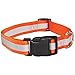 Guardian Gear Reflective Dog Collar, Fits Necks 14