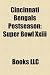 Cincinnati Bengals Postseason: Super Bowl Xxiii