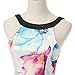 Flymall Flora Print Halter Neck Fit and Flare Dress Mini Dress (CN S)