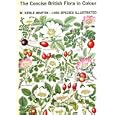 Concise British Flora Colour MARTIN
