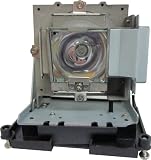 Lampedia Replacement Lamp for BENQ W1000 / W1000+