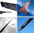 bird scarer kit