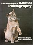 Creative techniques in animal photography