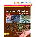 Mein erstes Terrarium zu Hause