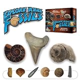 Explore Real Fossils Beginner Science Kit