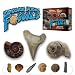 Explore Real Fossils Beginner Science Kit