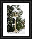 Framed Print of Cat - black a white cat climbing up a bird feeding table in snow from Ardea