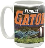 NCAA 15-Ounce Stadium Series Ceramic Mug