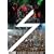 DA PUMP LIVE 2009 THUNDER PARTY NUMBER9 [DVD]