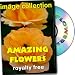 Amazing Flowers, Royalty Free Image Collection, Full Commercial Licence