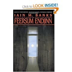 Feersum Endjinn