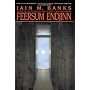 Feersum Endjinn