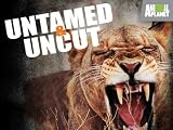 play video on Amazon Instant Video